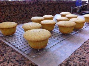 Margarita Cupcakes 6